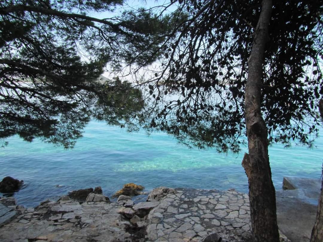 Apartmani Zoran Drage Dış mekan fotoğraf